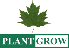 Plant Grow