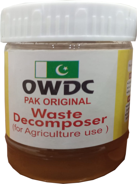 Plant Grow Internationaldecmp