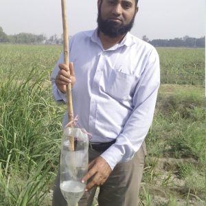 SUGARCANE TOP BORER PHEROMONE TRAP