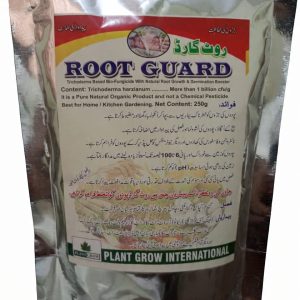 Root Guard