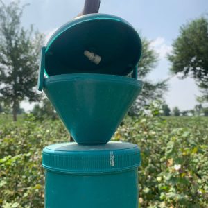 PHEROMONE & FRUIT FLY TRAPS